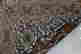 item-105848750=7