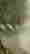 item-121364119=3
