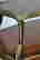 item-130571930=10