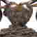 item-130571942=2