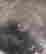 item-130572046=3
