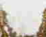 item-130572096=3