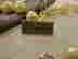item-135119663=3