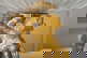 item-198515136=7