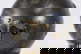 item-204851250=5