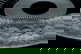 item-204851666=2