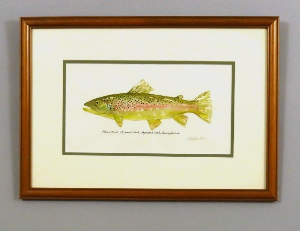 Watercolor of Brown Trout by Robert B. Stewart: A 7" x 13" image of a 1 1/2 pound male brown trout taken from the Loyalsock Creek in Pennsylvania. Double matted and in a 14 1/4" x 20 1/4" wood frame. In Excellent condition.
