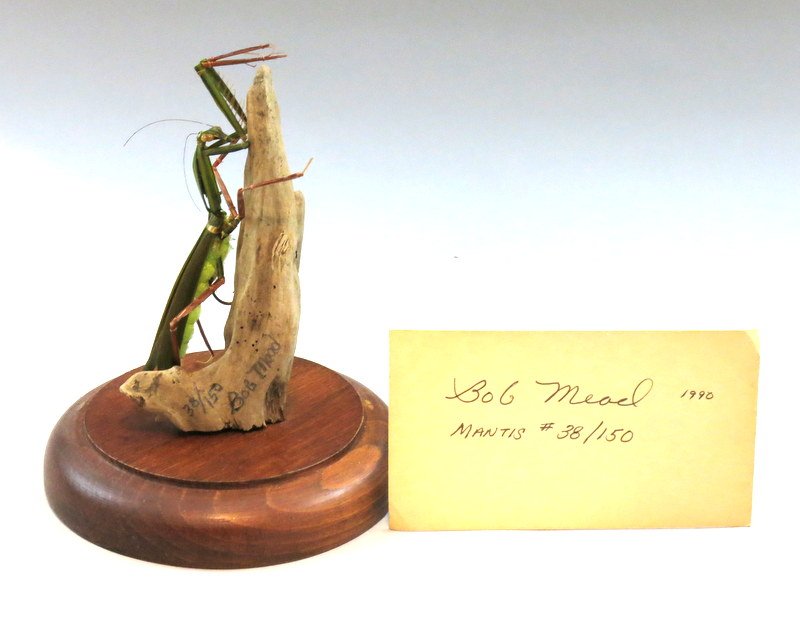 Bob Mead's Signature Fly, "Praying Mantis": Housed in a wooden base glass dome measuring 6 1/2" tall, the mantis is given the illusion of climbing a piece of driftwood. An incredible creation Mr. Mead created over twenty-five years ago and late