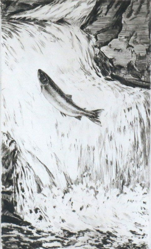 "Salmon Leaping a Waterfall" by William Schaldach (1 of 2)