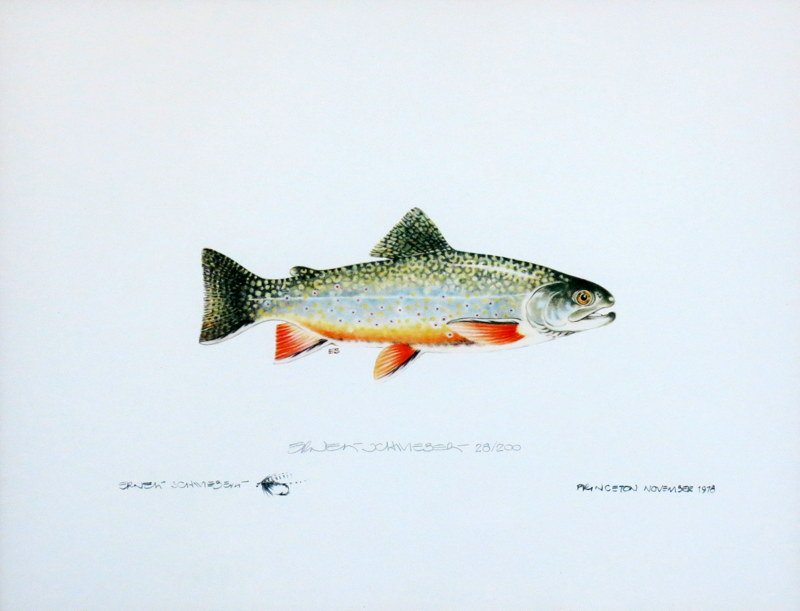 Brook Trout by Ernest Schwiebert (1 of 2)