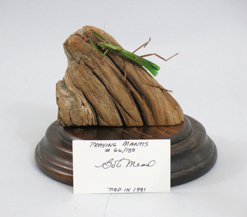 Bob Mead's Signature Fly, "Praying Mantis" (1 of 3)