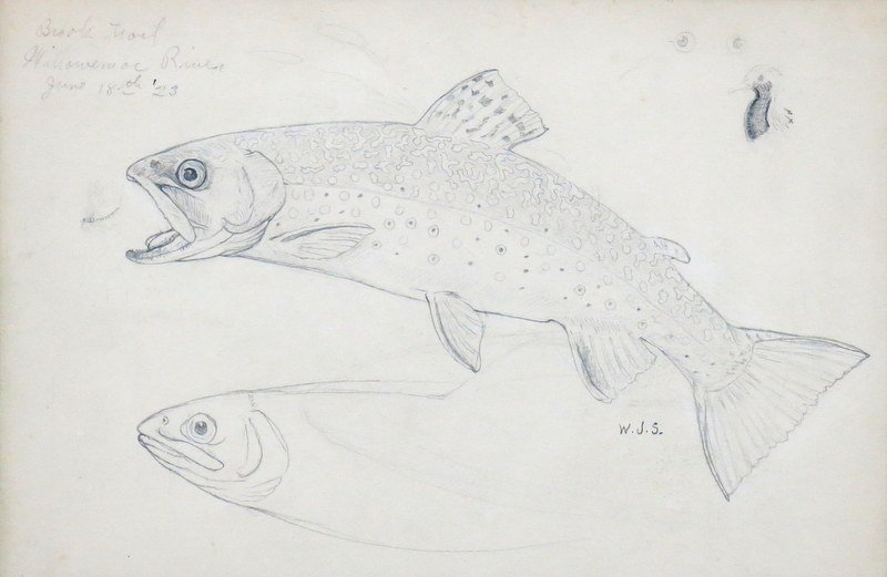Two Original Pencil Drawings by William Schaldach (1 of 7)