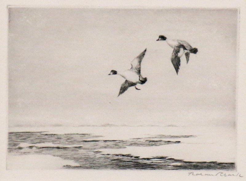 "The Ice Hole" by Roland Clark (1 of 2)