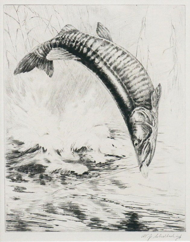 "Stripes of the Tiger" by William Schaldach (1 of 2)