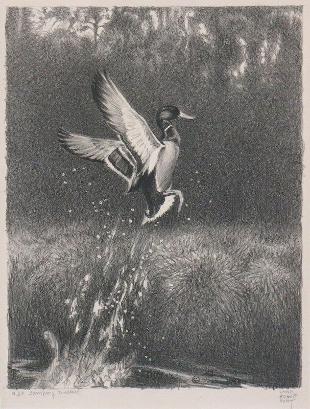 "#29 Jumping Mallards" by Lynn Bogue Hunt (1 of 3)