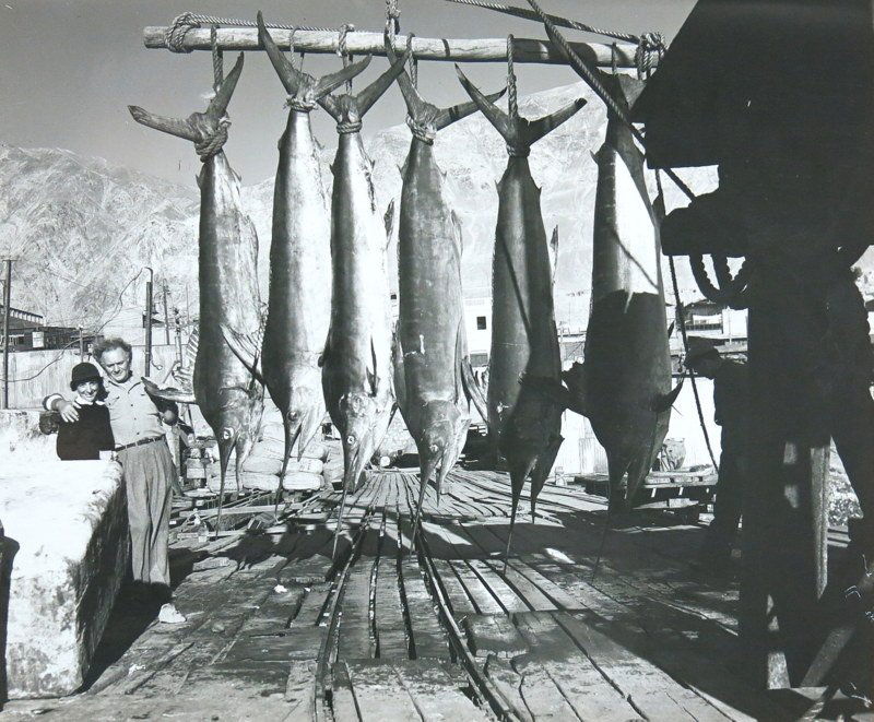 Large Photograph of Michael and Helen Lerner (1 of 2)