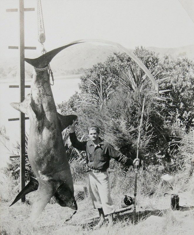 Large Photograph of Romer Grey with Thresher Shark (1 of 2)