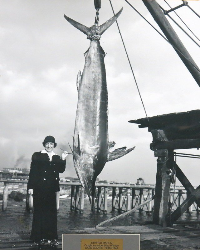 Large Photograph of Helen Lerner and Striped Marlin: A printed caption below the photograph reads "STRIPED MARLIN / Caught by unidentified Woman / CABO BLANCO, PERU 1940". The unidentified women is Mrs. Helen Lerner. Female big game fishing pioneer and 