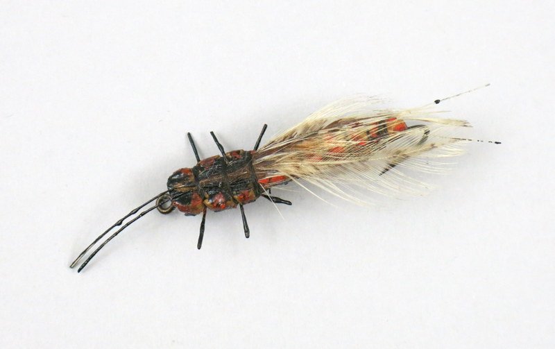 Louis Rhead Bass Winged Hellgrammite (1 of 4)