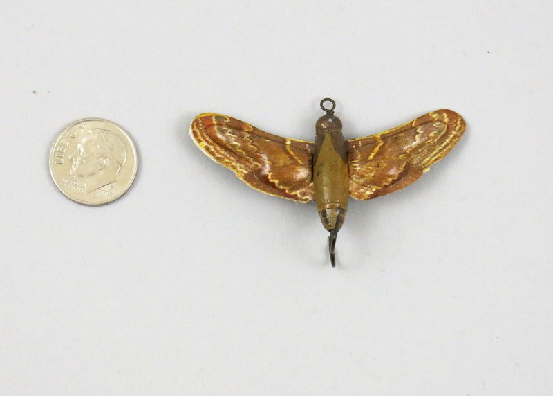 Large Size Colorado Floating Moth (1 of 2)