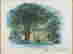 item-89197701=2