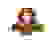 item-54530129=3