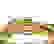 item-92715528=3