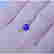 item-137372143=3