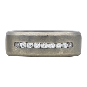 Titanium and Simulant Men's Wedding Band Ring