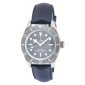 Tudor Black Bay 58 Silver Watch Ref. 79010SG, 2021