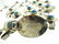 Native American All Sterling Turquoise Belt - 4