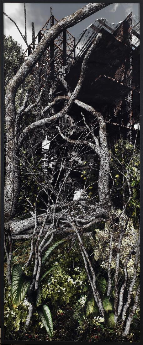 GIACOMO COSTA Graden 9.: Graden 9. 2009. Lambda print. Cm 80,00 x 200,00. 1/3.. At the back title, edition, signature, year. Giacomo Costa Archive label. DL Arte, Milan authenticity certificate on photo. Frame present