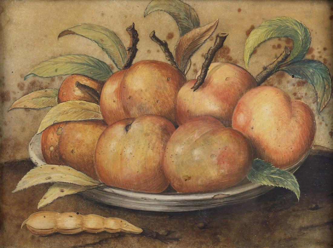 GIOVANNA  GARZONI Still life with peaches. (1 of 3)