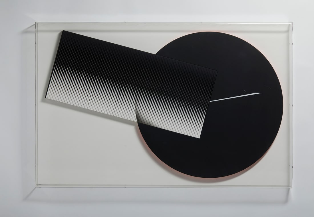 ALBERTO BIASI Dal Ciclo assemblaggi: Omaggio al punto.: BIASI ALBERTO (n. 1937) Dal Ciclo assemblaggi: Omaggio al punto. 2010. Acrilico e pvc su tavola. Cm 141,00 x 93,50 x 4,00. Al retro firma, titolo e anno. Autentica dell'artista su fotografia riportant