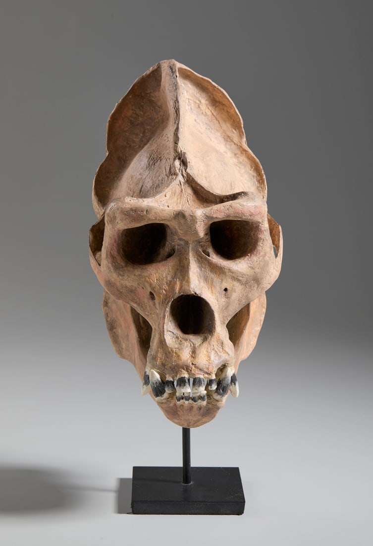 REPLICA OF A GORILLA SKULL IN HAND-PAINTED RESIN. BASE AND STAND INCLUDED.France, 20th century. (1 of 6)