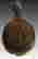 item-51371635=4
