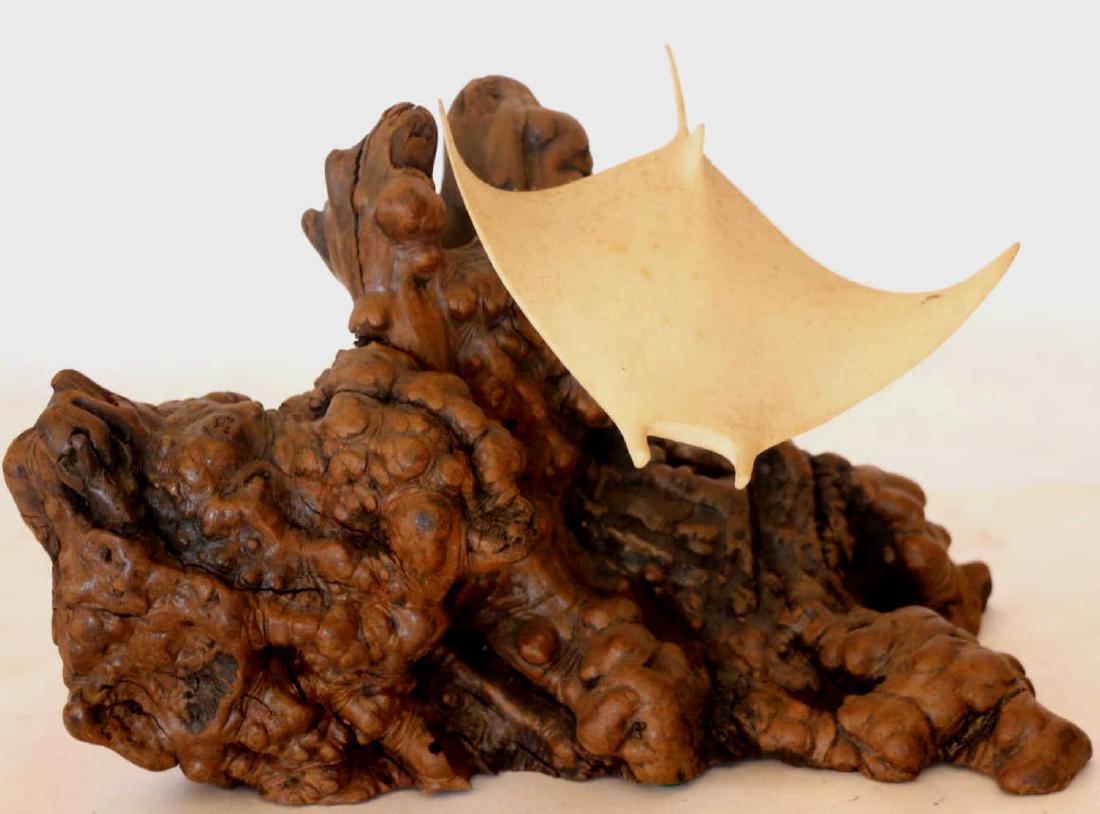 JOHN PERRY STUDIO BURL KNOT MANTA-RAY SCULPTURE: JOHN PERRY STUDIO BURL KNOT MANTA-RAY SCULPTURE