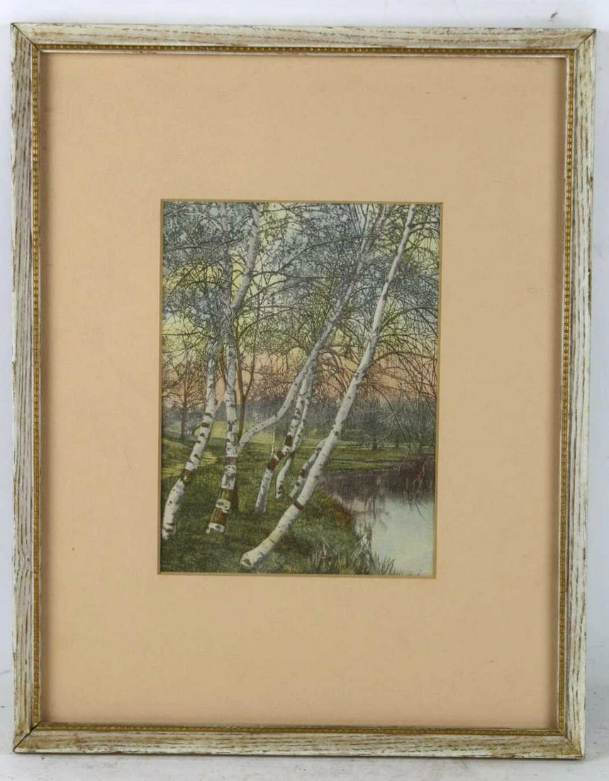 ORIGINAL SIGNED BIRCH TREE LANDSCAPE: ORIGINAL SIGNED BIRCH TREE LANDSCAPE Condition GOOD H 15 W 12 IN