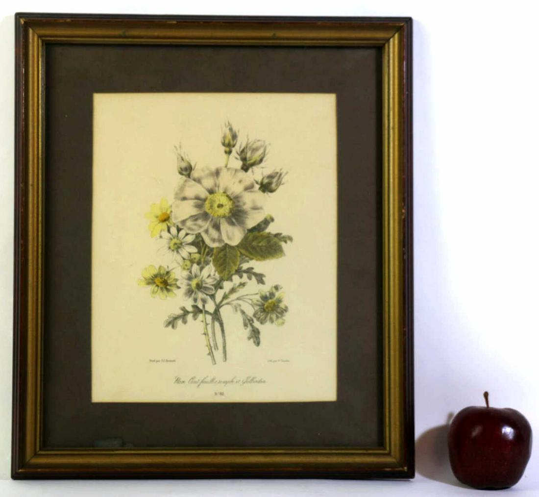 ANTIQUE CUSTOM FRAMED BOTANICAL PRINT STUDY (1 of 2)