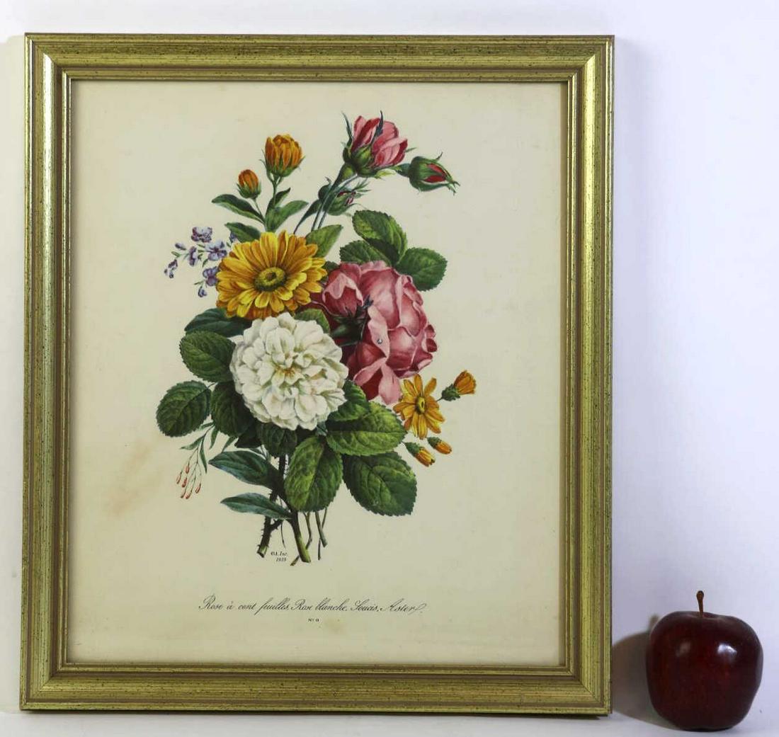 ANTIQUE CUSTOM FRAMED BOTANICAL PRINT STUDY (1 of 4)