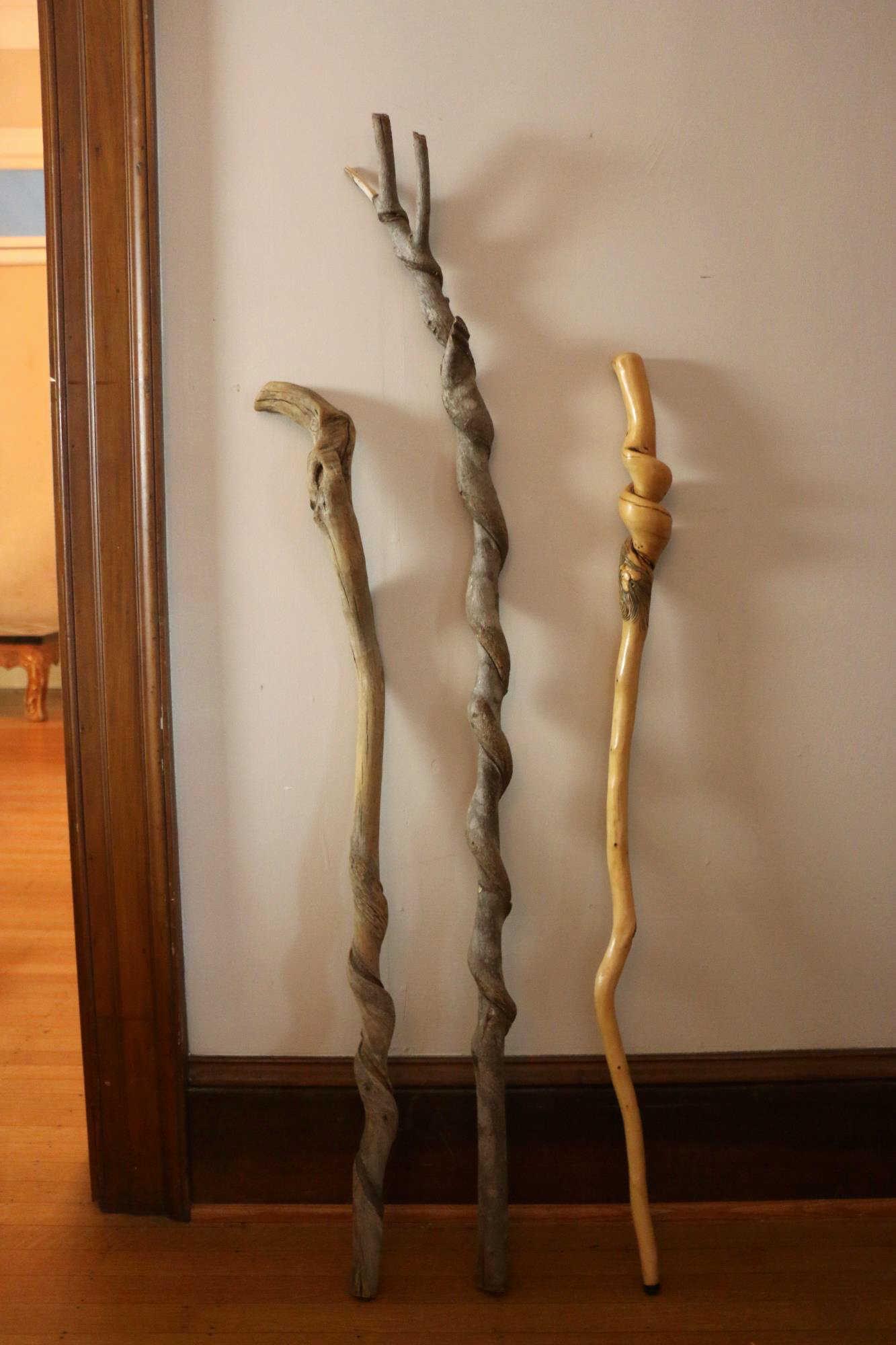 HAND CARVED WALKING CANE / HIKING STICK GROUP (1 of 5)