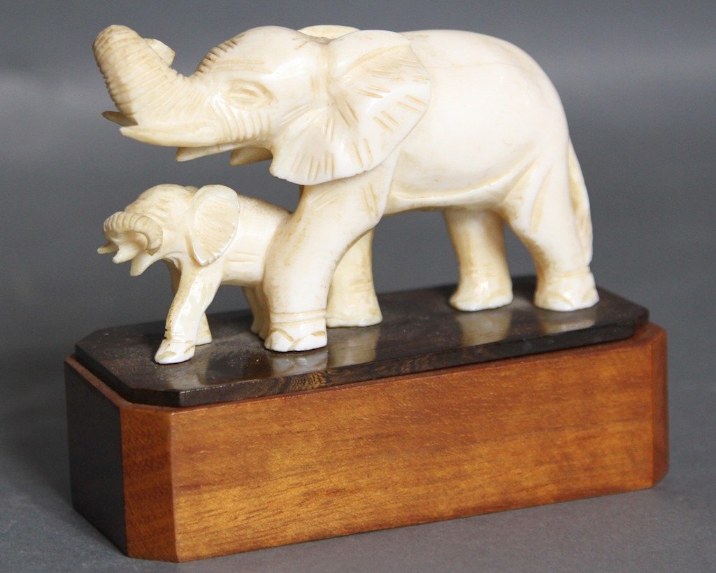 AFRICAN ELEPHANT IVORY ON EBONY & MAHOGANY PLYNTH: 4"H X 4.5"W X 2"D