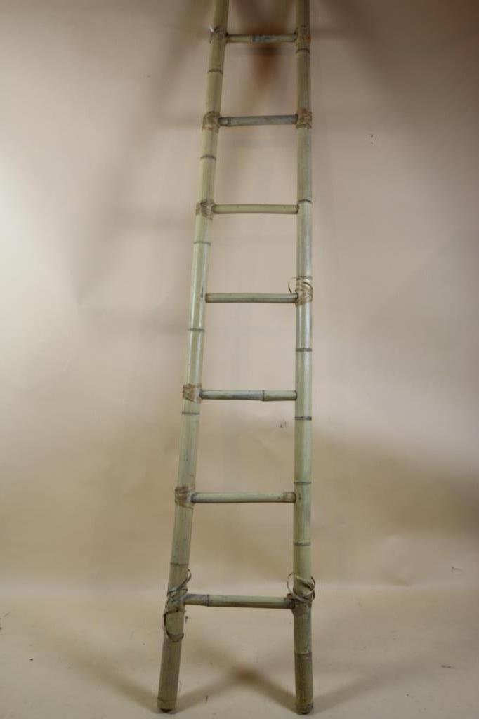 BAMBOO LIBRARY LADDER: BAMBOO LADDER