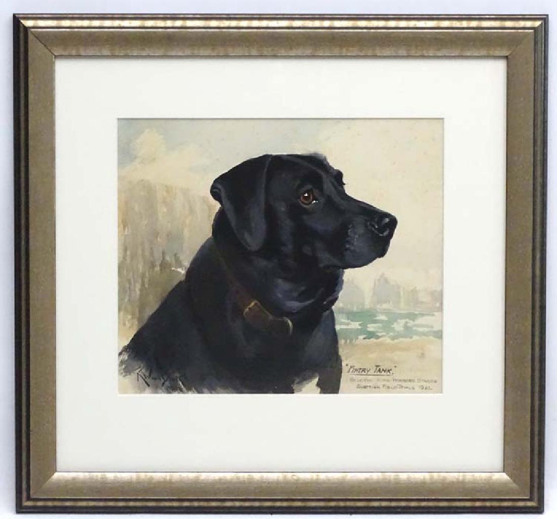 Reuben Ward Binks (1880-1950) British Canine School,: Reuben Ward Binks (1880-1950) British Canine School, Watercolour Dog portrait, ' Fintry Tank ' ...1921, black labrador gundog, Signed and dated 1922 lower left , details and title lower right. Apertur