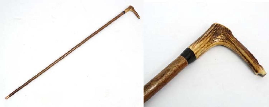 Whistle Stick : A fine Antler handled Walking and: Whistle Stick : A fine Antler handled Walking and Whistle Stick with Buffalo horn collar and Hazel shaft with copper ferule, 52'' long
