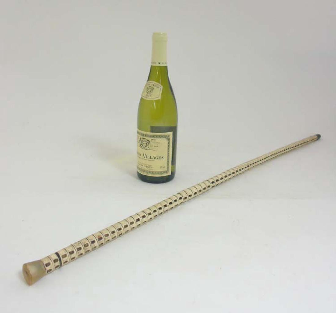 Walking Stick / cane - A sharks vertebrae cane with (1 of 5)