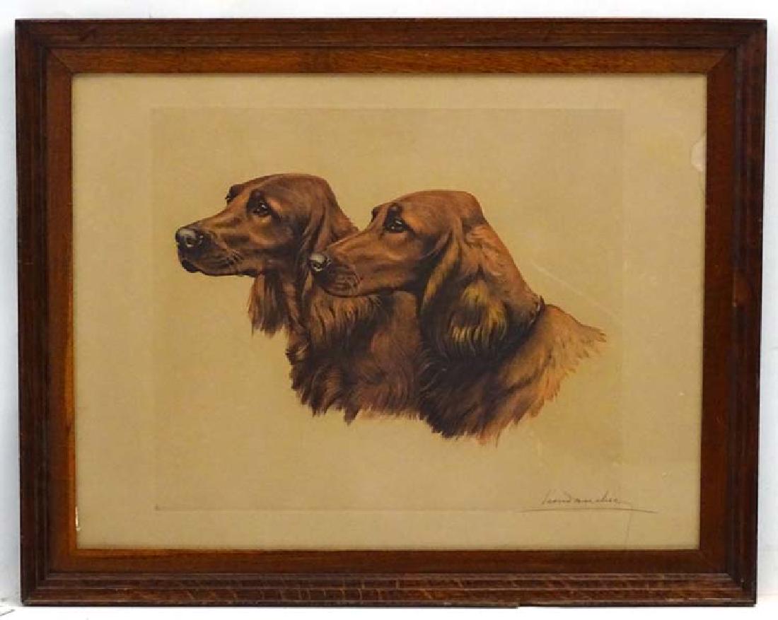 Gun dogs: Leon Danchin (1887-1938), Coloured: Gun dogs: Leon Danchin (1887-1938), Coloured lithograph, Portrait heads of a pair of Irish / Red Setters, Signed in pencil under lower right, The page measuring 19 1/4 x 25 1/4''