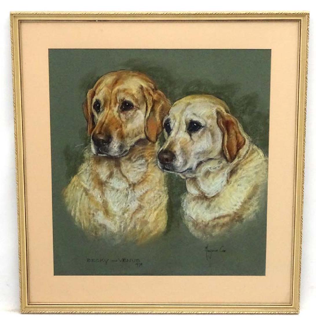 Gun Dogs: Marjorie Cox (1915-2003), Pastel and: Gun Dogs: Marjorie Cox (1915-2003), Pastel and charcoal, 'Becky and Venus 1978' a pair of yellow labradors, Signed lower right, titled and dated lower left, 20 1/2 x 19''