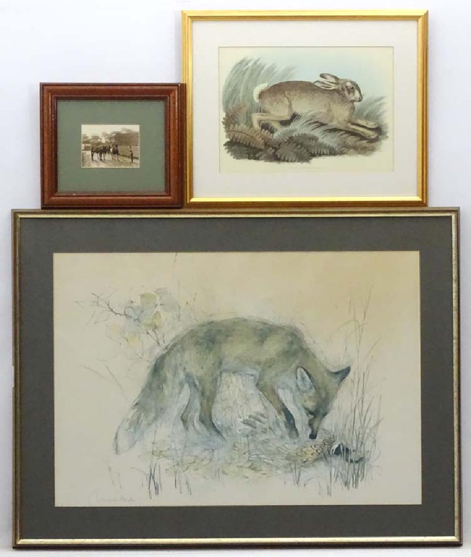 Shooting: After Mads Stage (1922), print, Fox with: Shooting: After Mads Stage (1922), print, Fox with Pheasant, After S Howitt, print, The Rabbit, Sepia photograph depicting 3 cart horses The largest aperture 18 x 26 (3)