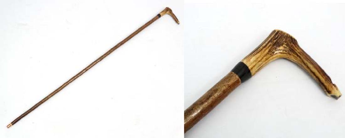 Whistle Stick : A fine Antler handled Walking and: Whistle Stick : A fine Antler handled Walking and Whistle Stick with Buffalo horn collar and Hazel shaft with copper ferule, 52'' long